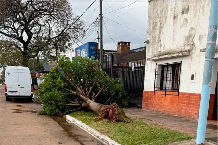 Una mujer murió aplastada por un árbol que cayó sobre su vivienda durante el fuerte temporal en Concordia - imagen de origen