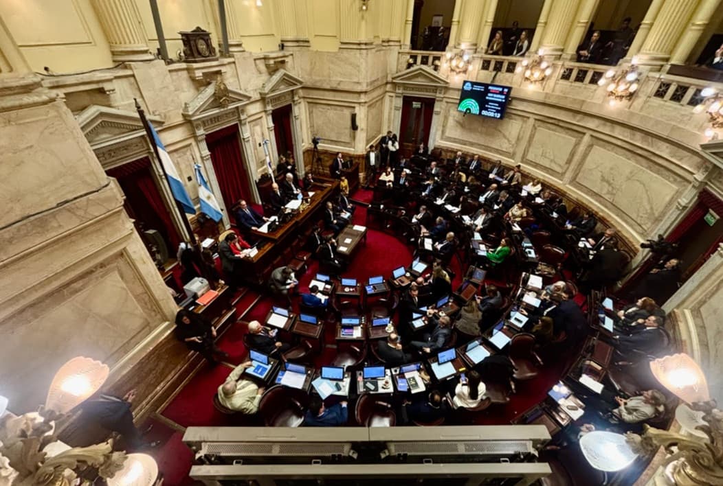 Senado: el Gobierno aprobó la ley de propiedad privada, pero tuvo que quitar otro capítulo - Dos Florines - imagen de origen