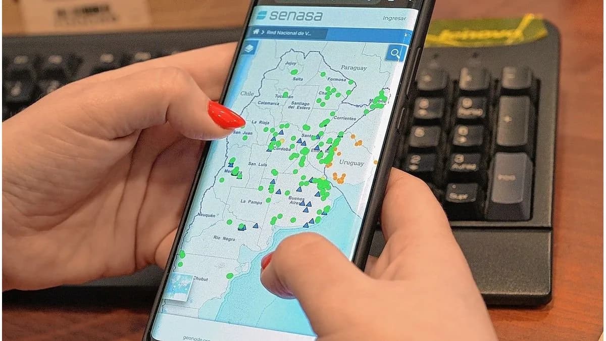 La red de vigilancia apícola activa fortalece el monitoreo del pequeño escarabajo de las colmenas - imagen de origen