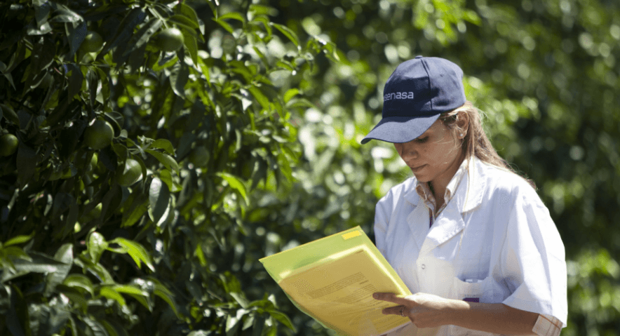 Consolidan la lucha contra HLB y otras enfermedades del citrus - imagen de origen
