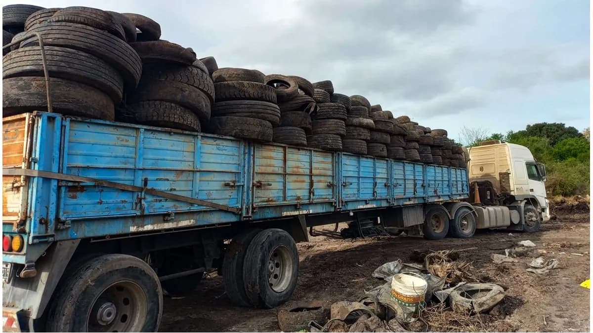 Cubiertas: más de 260 tonerladas camino al reciclaje - imagen de origen