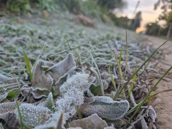 Bajo cero: Gualeguaychú amaneció helado y el frío se queda vario días más - imagen de origen