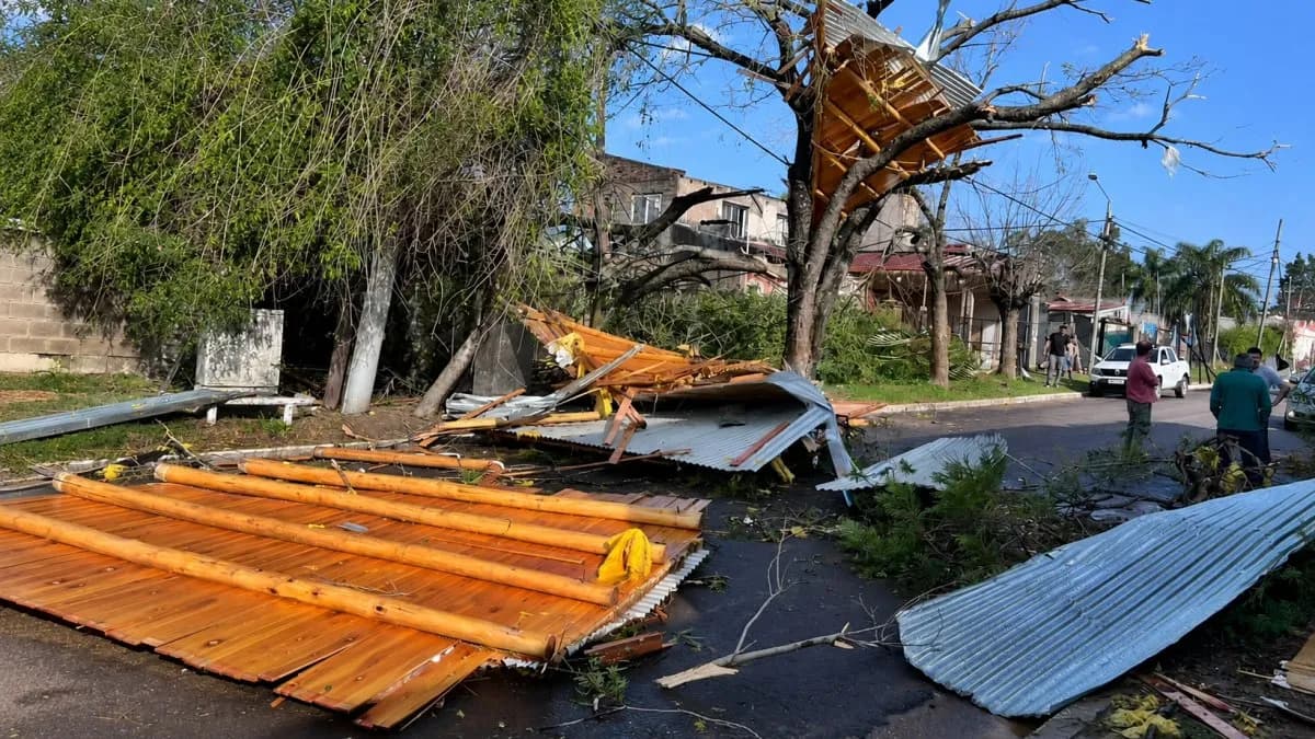 Temporal con violentas ráfagas dejó sin luz a gran parte de Concordia: comunicado de Enersa - imagen de origen