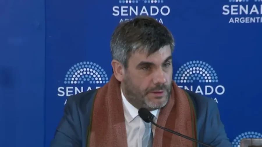 Juan Ignacio Lazzaneo: “La representación gratuita no deja afuera a las víctimas” | Análisis - imagen de origen