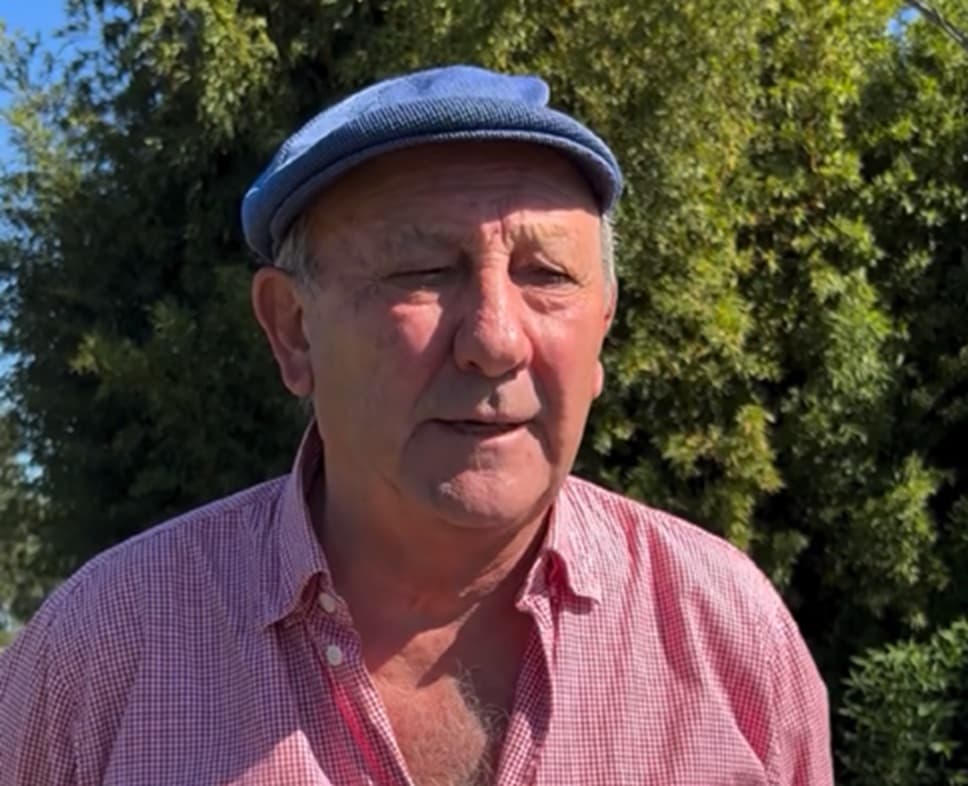 "La profesión se va especializando": los desafíos de la veterinaria en campos de Entre Ríos, según Victorio Firpo - Dos Florines - imagen de origen