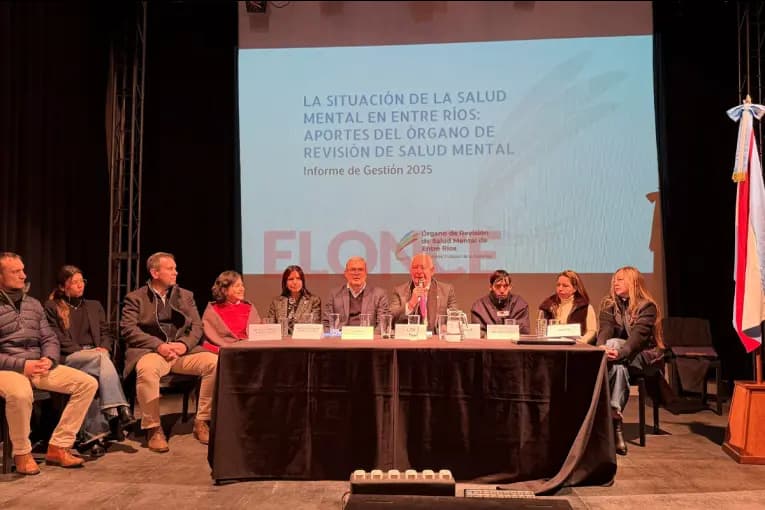 Advierten que siete de cada diez camas de salud mental están ocupadas por internaciones permanentes - imagen de origen