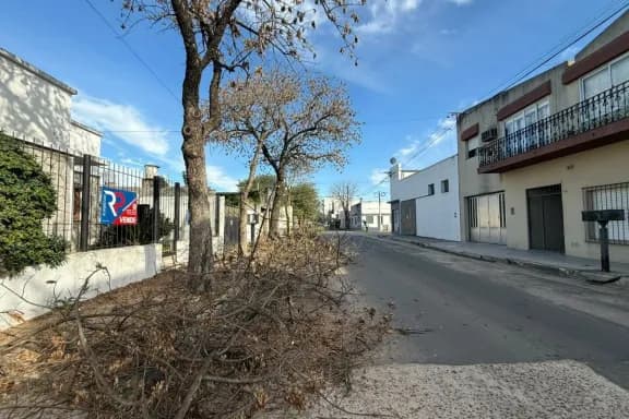 Gualeguaychú: Comenzó la poda invernal en calle 3 de Caballería - imagen de origen