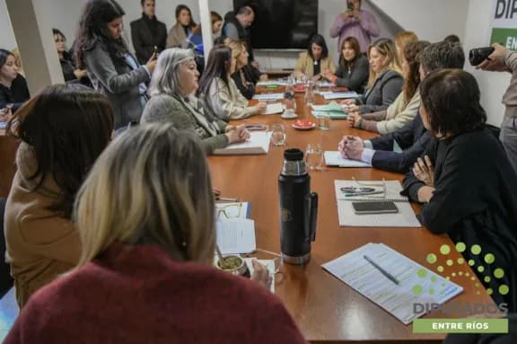 Dan dictamen favorable al proyecto de incentivos tributarios para la actividad comercial en la provincia - imagen de origen