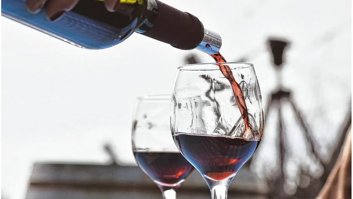 De buena cosecha: las bodegas que impulsan el negocio vitivinícola en Entre Ríos - imagen de origen