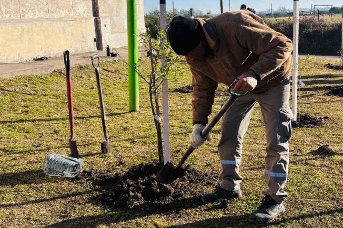 Plantaron árboles nativos en el Cementerio Norte para fortalecer los corredores verdes de la ciudad - imagen de origen