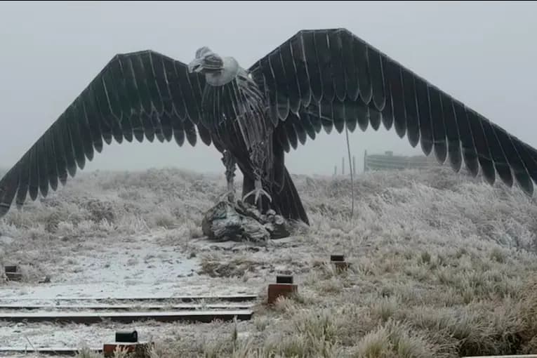 Videos: la ola polar dejó nevadas en Buenos Aires y varias provincias del país - imagen de origen