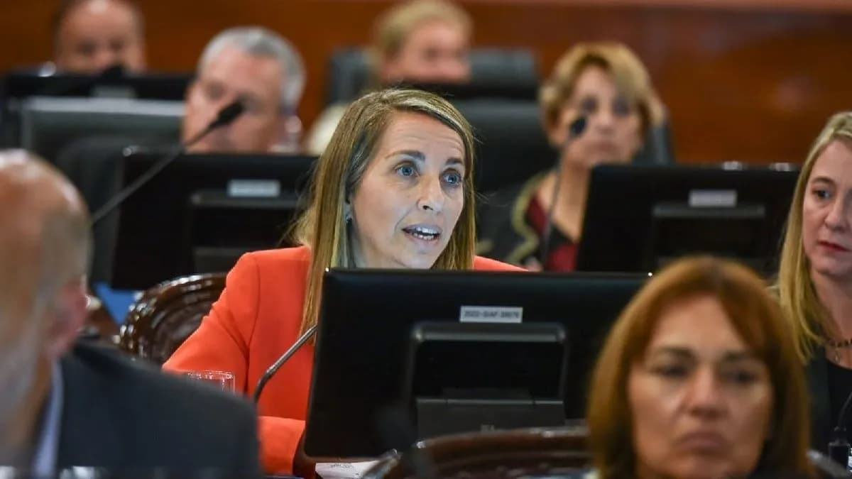 La reforma previsional fue ley luego de una ajustada votación que dividió a la Cámara de Diputados - imagen de origen