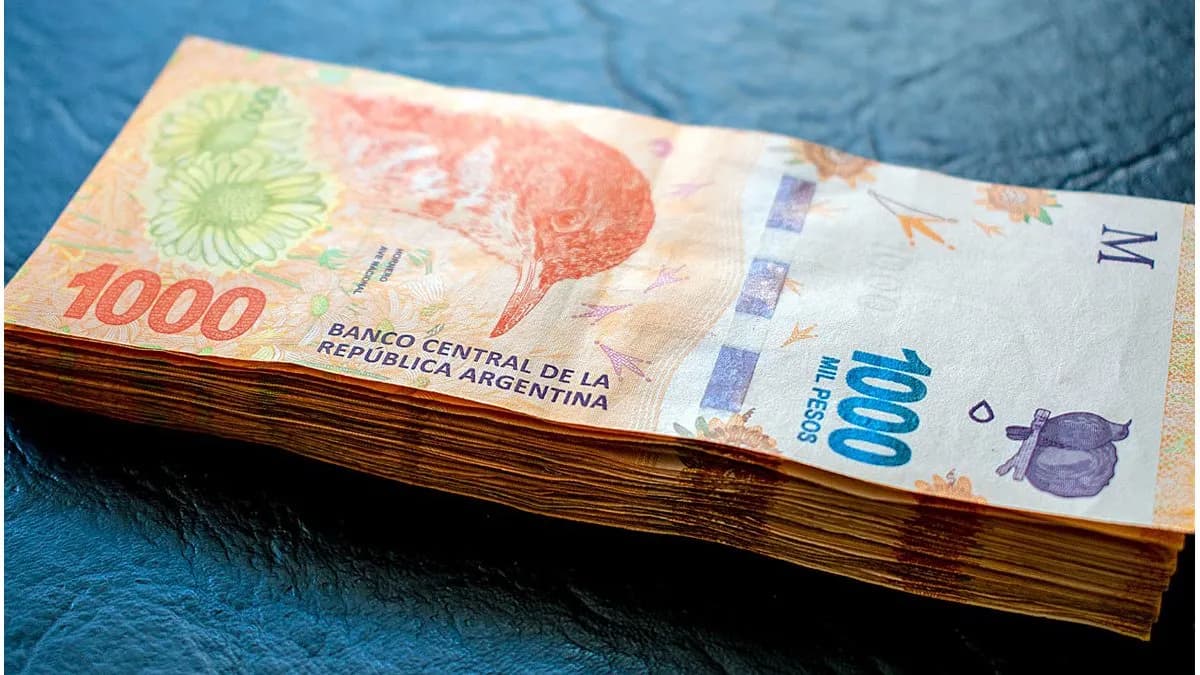 El Gobierno inició un sumario por faltas injustificadas y le reclama la devolución de más de $36,7 millones - imagen de origen