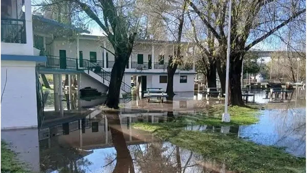 Río Uruguay: la creciente no da tregua y los niveles altos seguirán - imagen de origen