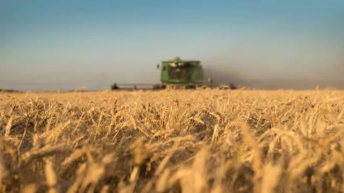 Entre Ríos lanzó un seguro multirriesgo para proteger a pequeños productores ante sequías e inundaciones - imagen de origen