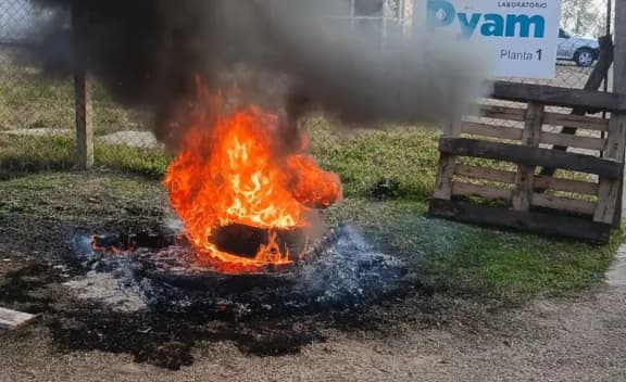Dictaron la conciliación obligatoria en el conflicto por los despidos en Laboratorios Pyam - imagen de origen