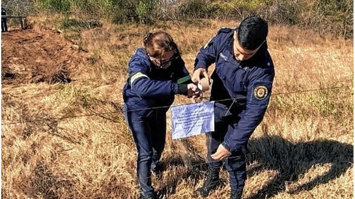 El Municipio de Concepción del Uruguay denunció ante la Justicia daños ambientales en Paso Vera Norte - imagen de origen