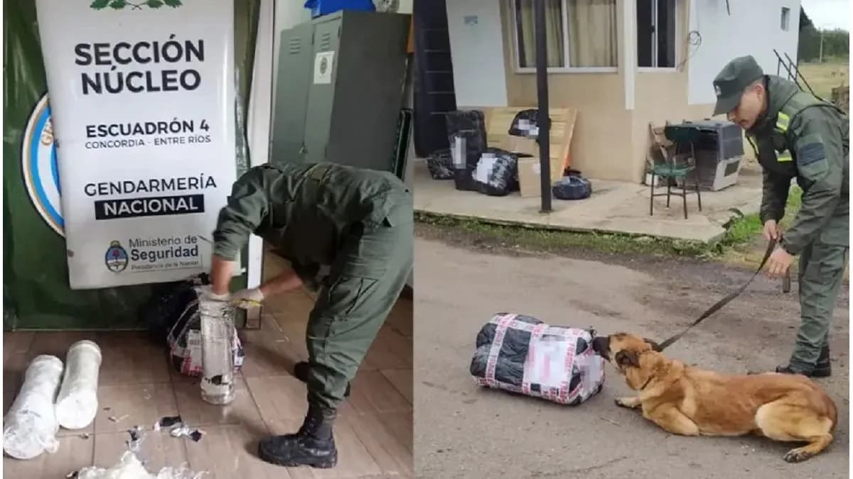 Ruta 14: hallaron marihuana dentro de tubos de PVC durante un control - imagen de origen
