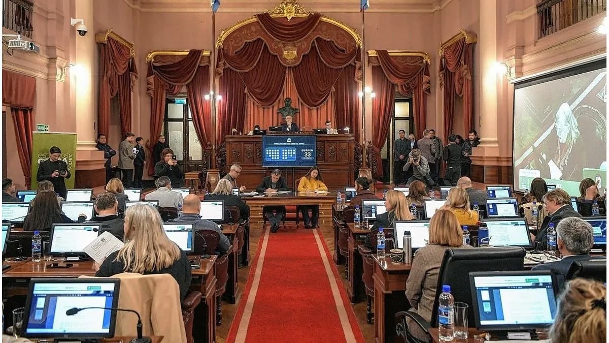 Diputados aprobó el alivio fiscal para comercios y monotributistas de Entre Ríos por mayoría - imagen de origen