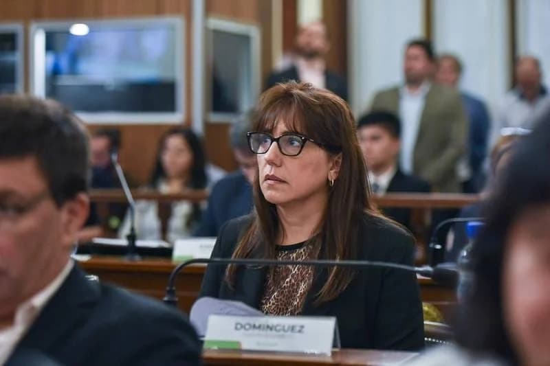 Domínguez: "La responsabilidad política consiste en actuar antes de que el problema sea irreversible" - imagen de origen