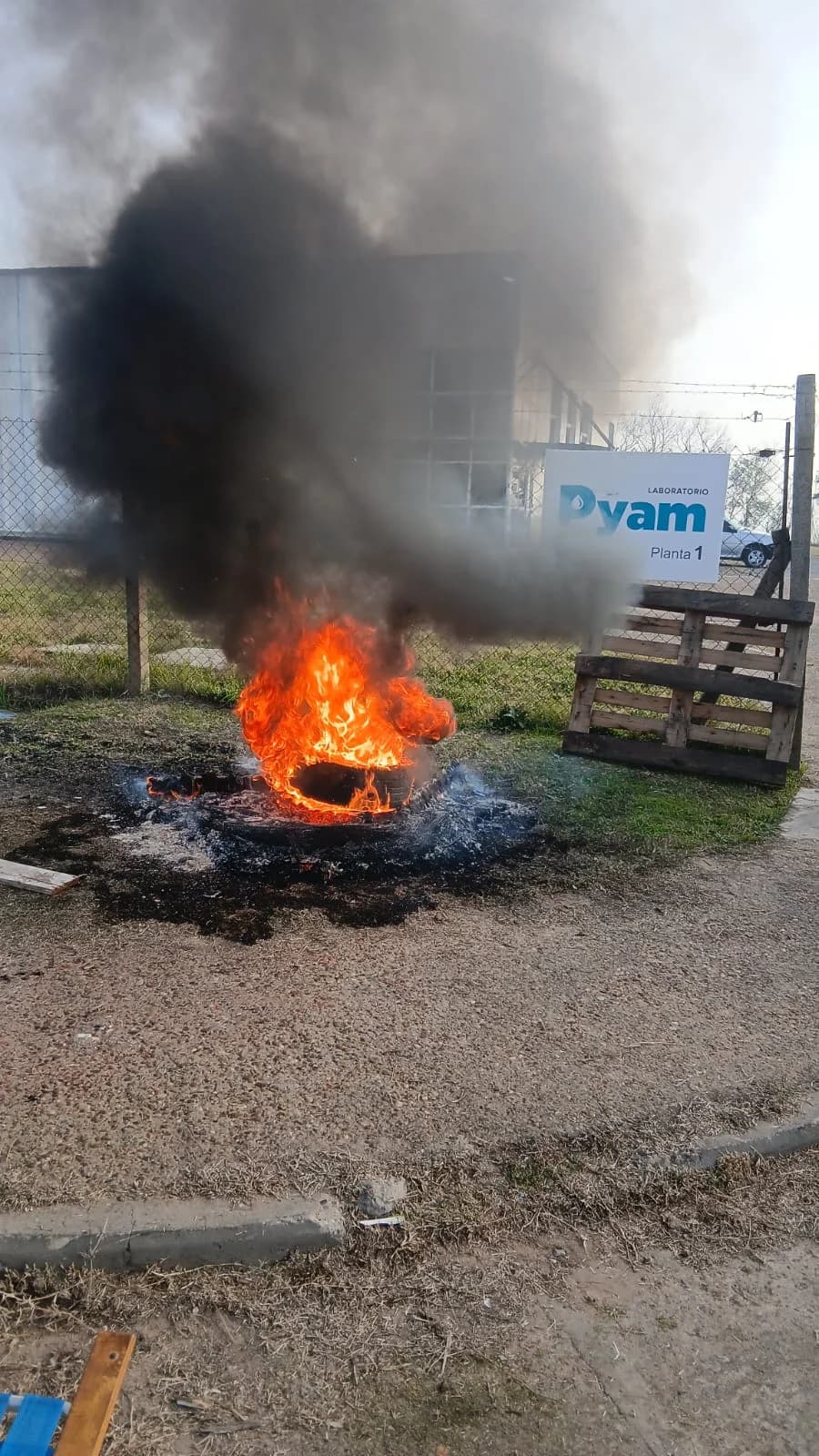 Dictaron la conciliación obligatoria por los once despidos en Pyam: cómo sigue el conflicto - imagen de origen