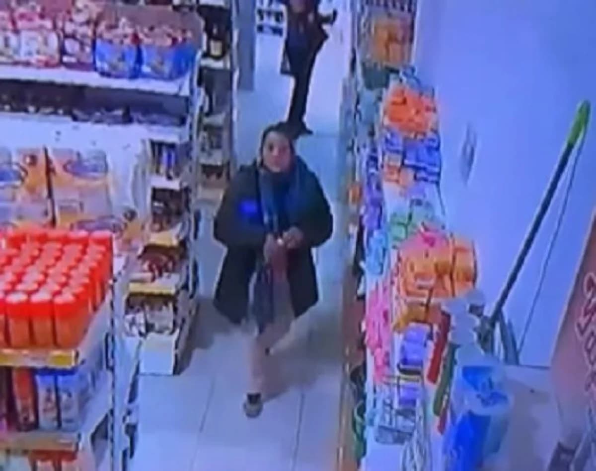 Una mujer quedó registrada por las cámaras de seguridad tras un presunto robo en el Mayorista Yaguareté - imagen de origen
