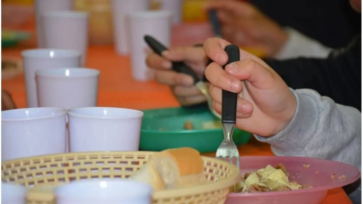 Entre Ríos: piden transparencia en la contratación de Teknofood para los comedores escolares - imagen de origen