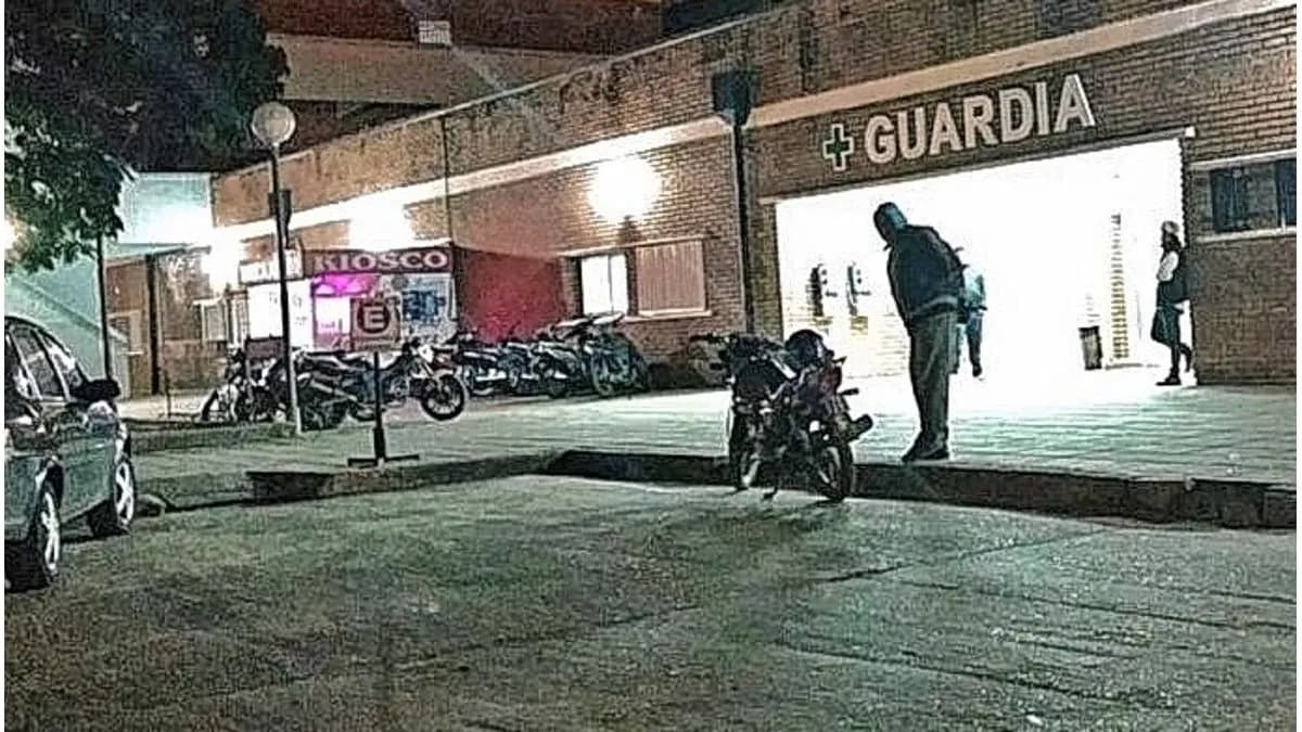 Temporal en la provincia: una mujer murió por la caída de un árbol en Osvaldo Magnasco - imagen de origen