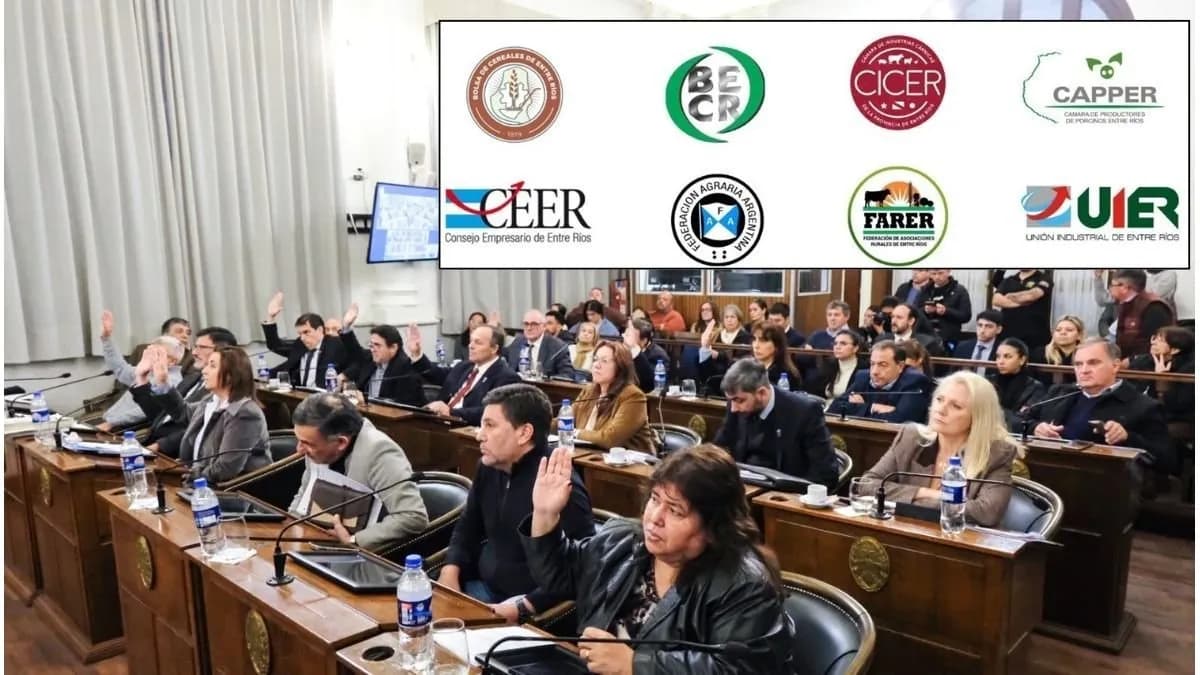 Empresarios valoraron la media sanción de la Reforma Previsional - imagen de origen