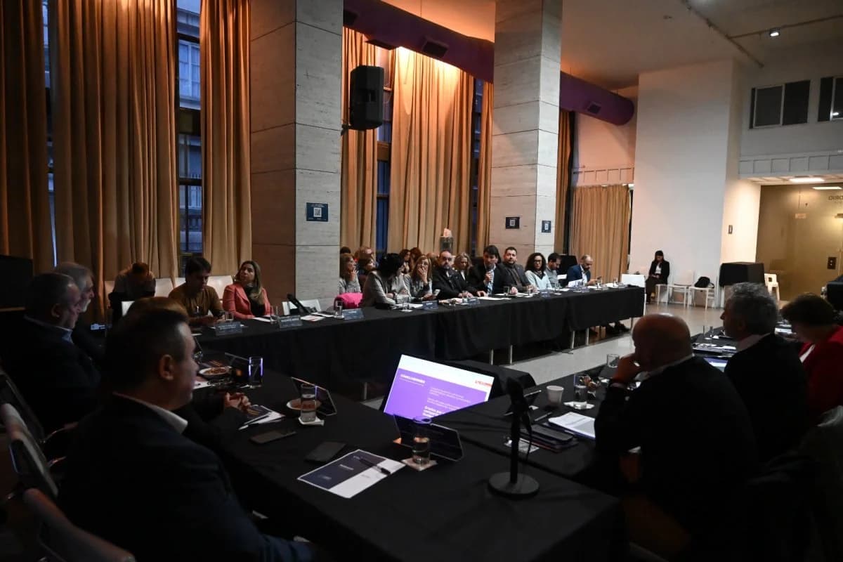Gualeguaychú presentó el Plan de Prevención y Asistencia en Adicciones ante el Consejo Federal de Drogas - imagen de origen