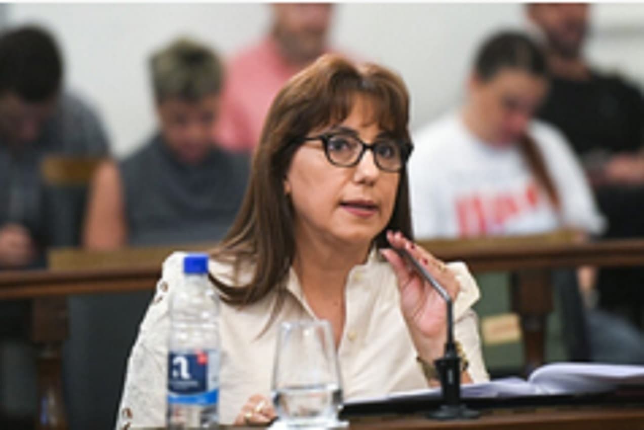 Domínguez: “No hay derecho posible si la Caja no puede pagar las jubilaciones” - imagen de origen