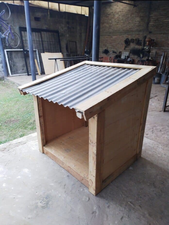 Construirán cuchas para perros callejeros en una jornada solidaria - imagen de origen