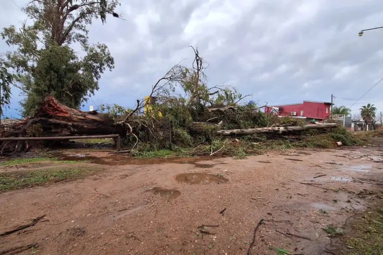 Temporal en Concordia: piden declarar el estado de emergencia - imagen de origen