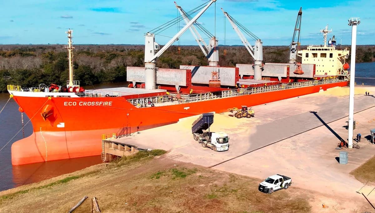 Concretan la primera exportación de soja no modificada genéticamente desde Puerto de Concepción del Uruguay - imagen de origen