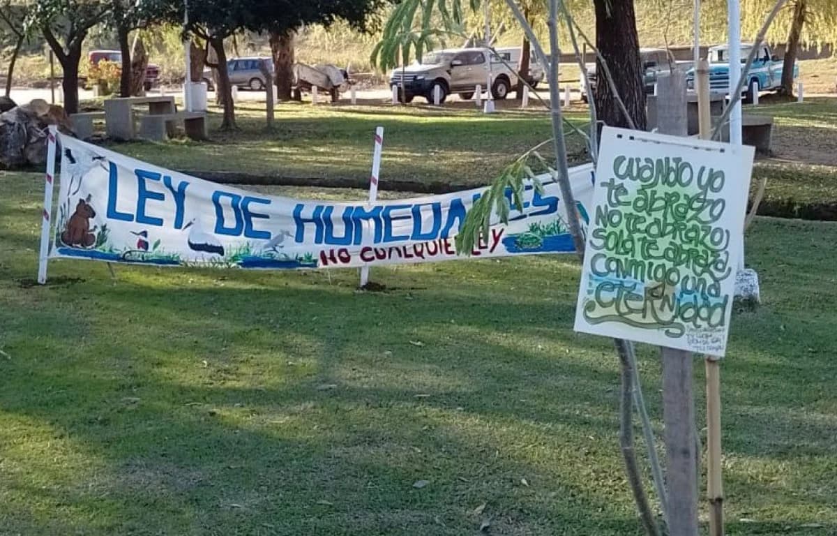 Plantaron un árbol en homenaje a la ambientalista Griselda "La Gri" Pais - imagen de origen
