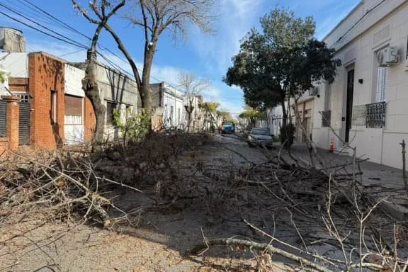 La poda invernal del macrocentro sigue en Doello Jurado hacia la Costanera - imagen de origen
