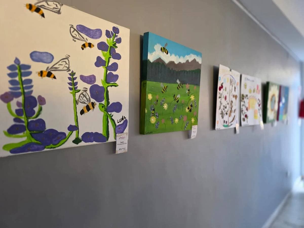 “Zumbidos de Colores”: niños de Paraná mostraron su mirada sobre las abejas a través del arte - imagen de origen