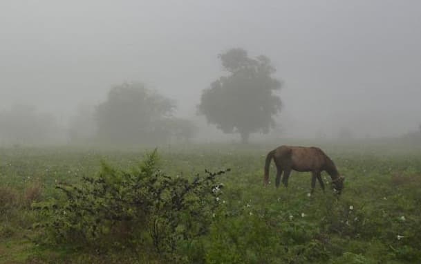 La Provincia prepara un plan de contingencia ante la llegada de El Niño: para cuando se anuncian las lluvias fuertes - imagen de origen