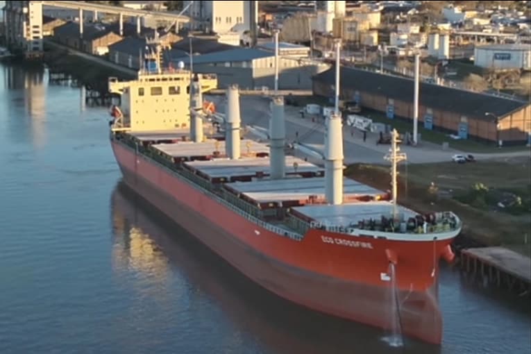 Concretan la primera exportación de soja no modificada genéticamente desde puerto entrerriano - imagen de origen