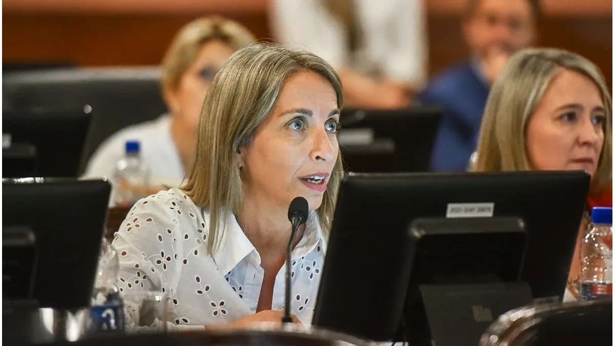 La reforma previsional llegó a Diputados con cruces por los tiempos y el alcance del debate - imagen de origen