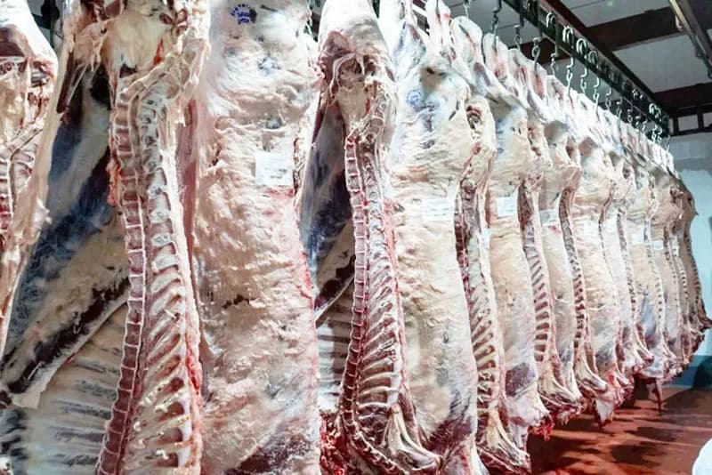 Australia y Brasil agotan sus cuotas en China y abren una oportunidad para la carne argentina - imagen de origen