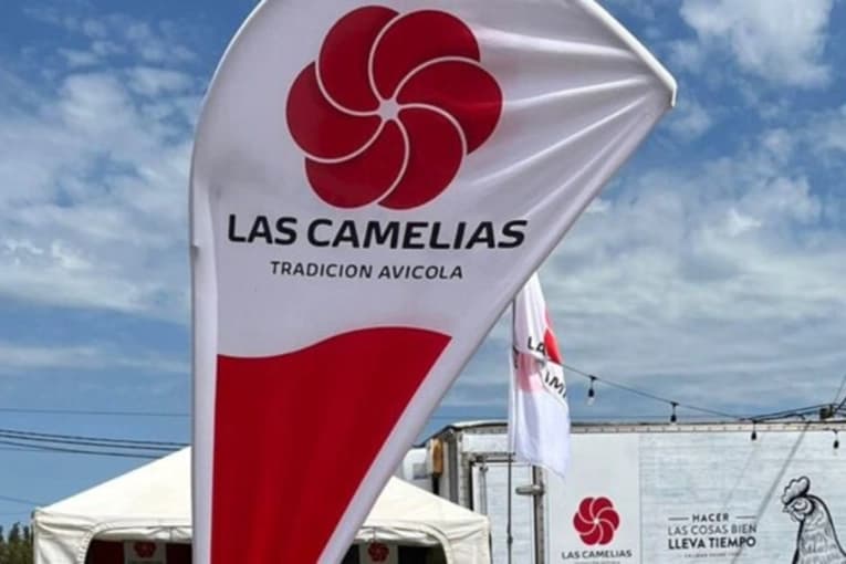 Las Camelias diversifica su negocio: la gigante avícola entrerriana compró un criadero de cerdos en Concepción del Uruguay - imagen de origen