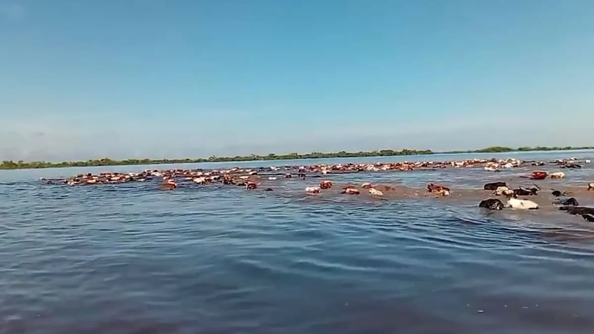 La Provincia coordina acciones con municipios ante el impacto fluvial de El Niño - imagen de origen