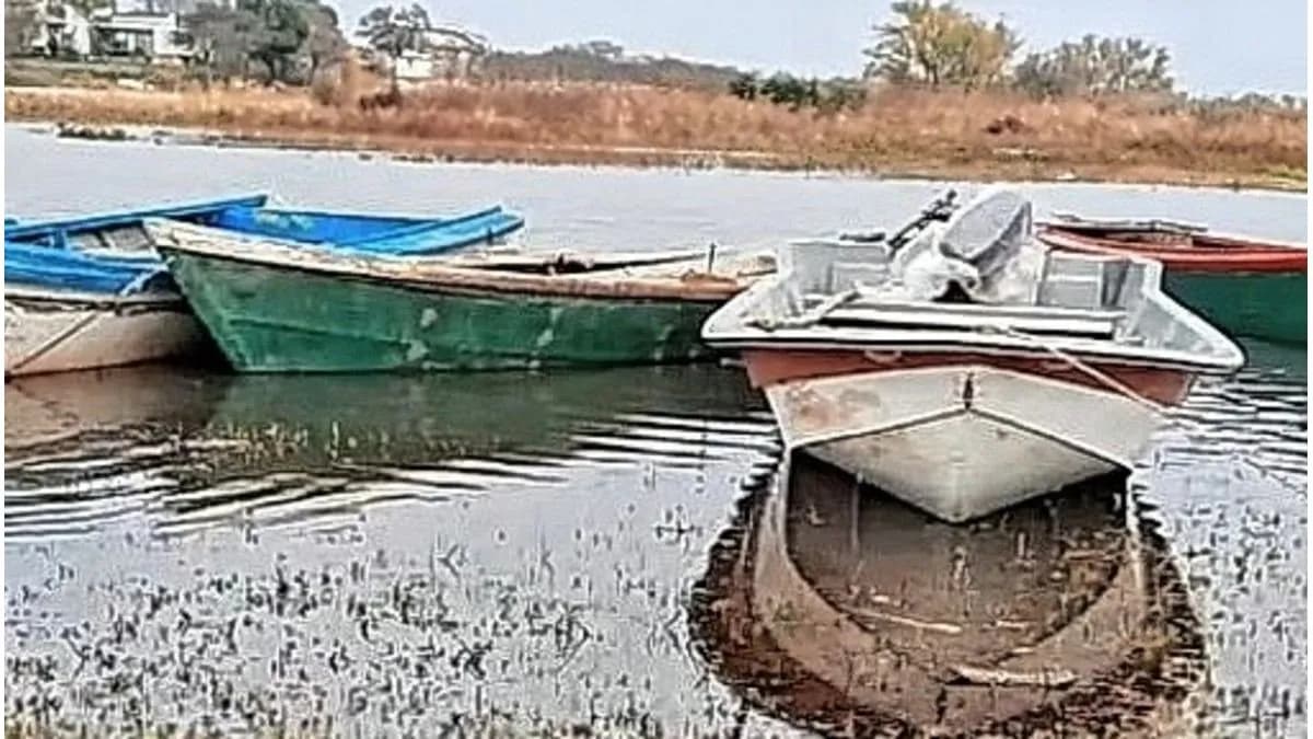 Preocupación en Las Cuevas por la altura del río Paraná - imagen de origen