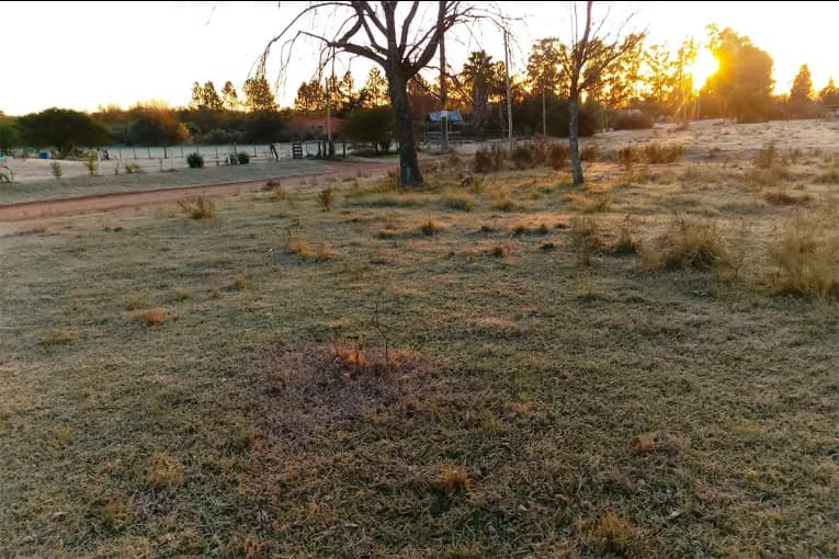 Alerta amarilla por frío extremo en más de 20 provincias: volvió a blanquear la helada en suelo entrerriano - imagen de origen