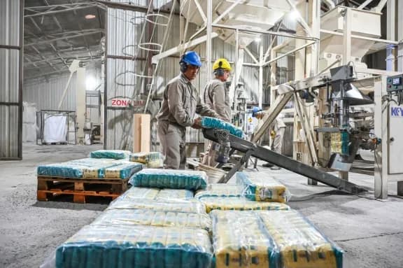 “Cada vez somos menos” y “hay despidos en los molinos”, lamentó un productor arrocero entrerriano - imagen de origen