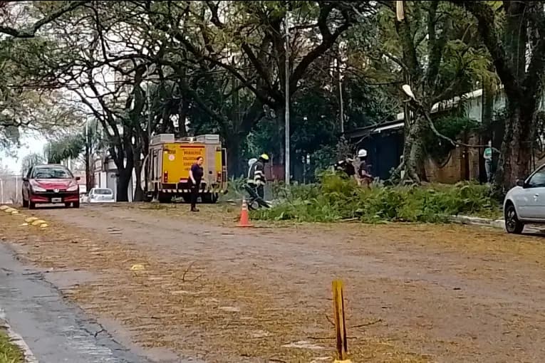 Temporal y destrozos en Concordia: "Nunca habíamos visto algo así", afirmaron desde la Cooperativa Eléctrica - imagen de origen