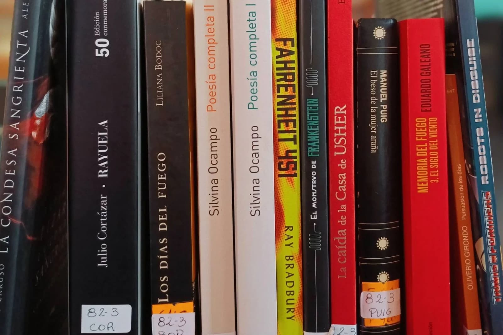 La Biblioteca Provincial lanzó una convocatoria a donar libros para fortalecer su Fondo General - imagen de origen