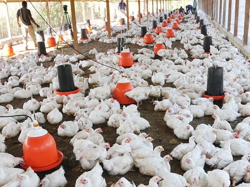 Desde el dinamismo rural, Entre Ríos se abre espacio en el mundo de los negocios agropecuarios - imagen de origen