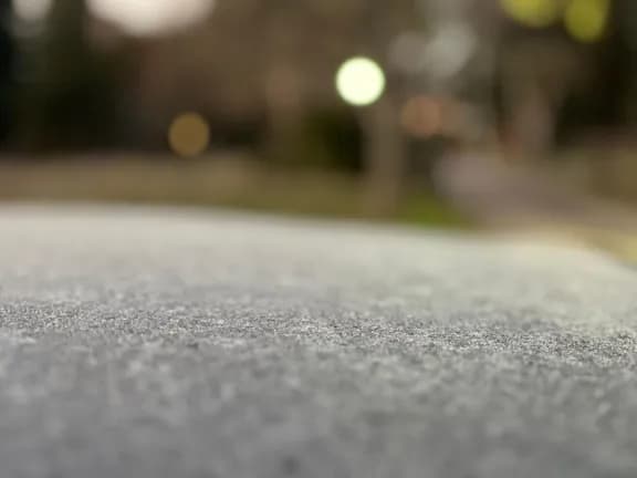 Ola de frío: Gualeguaychú registró una de las heladas más intensas del año con -2,5°C - imagen de origen
